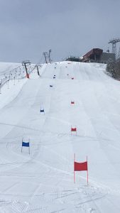Race Training Eurotest